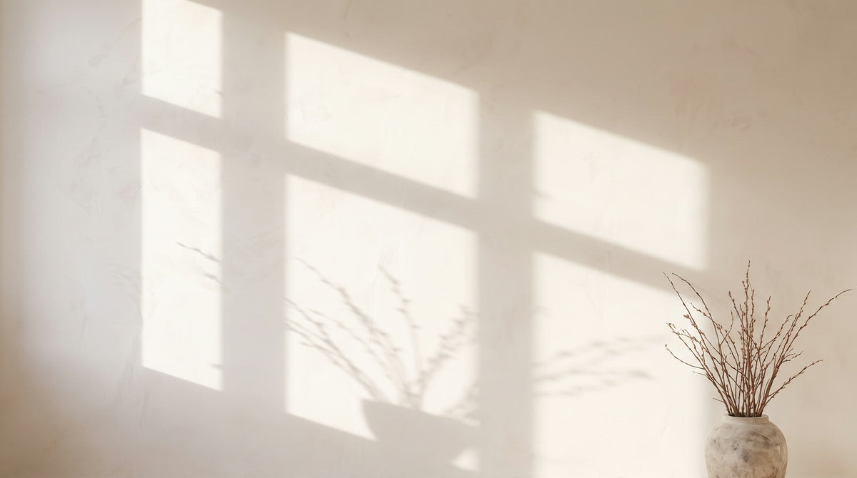 Soft morning light and window shadows on a white limewash plaster wall with dried branches in a stone vase