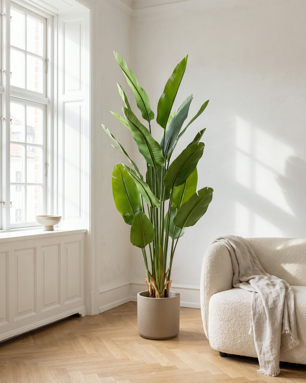 Strelitzia | 180 cm in a bright Scandinavian interior