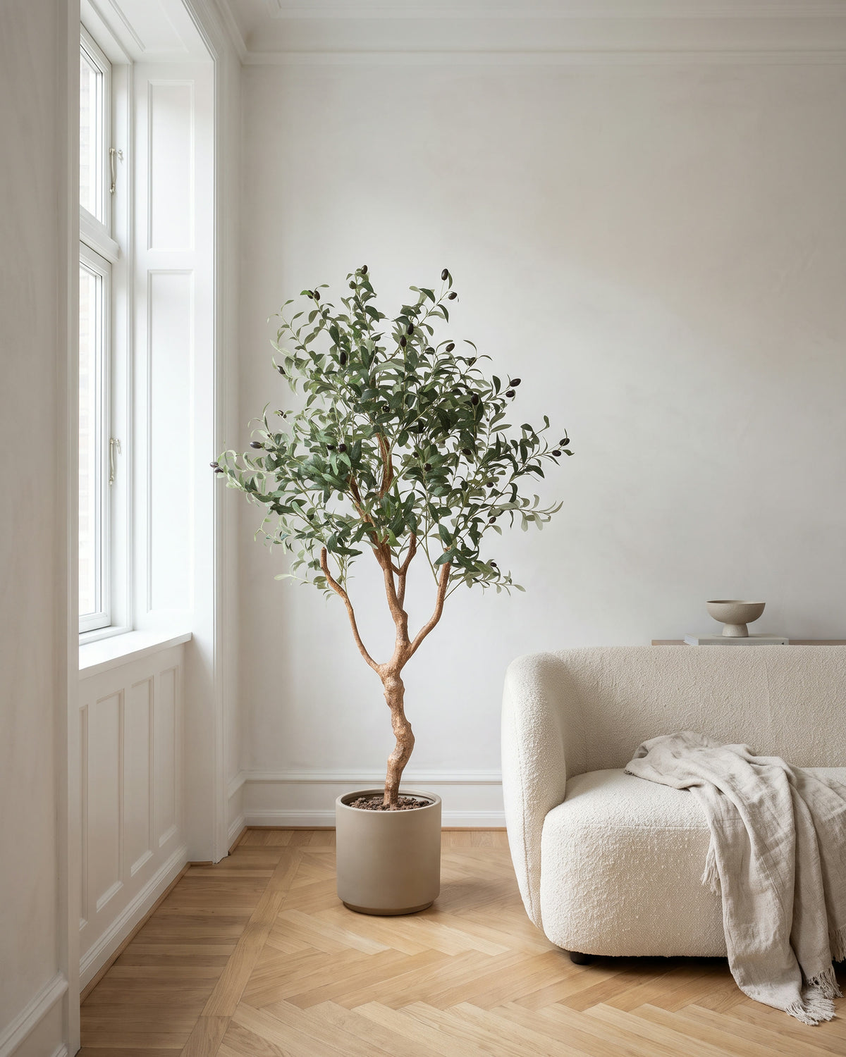 Olive Tree | 150 cm in a bright Scandinavian interior