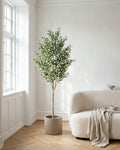 Olive Tree | 180 cm in a bright Scandinavian interior