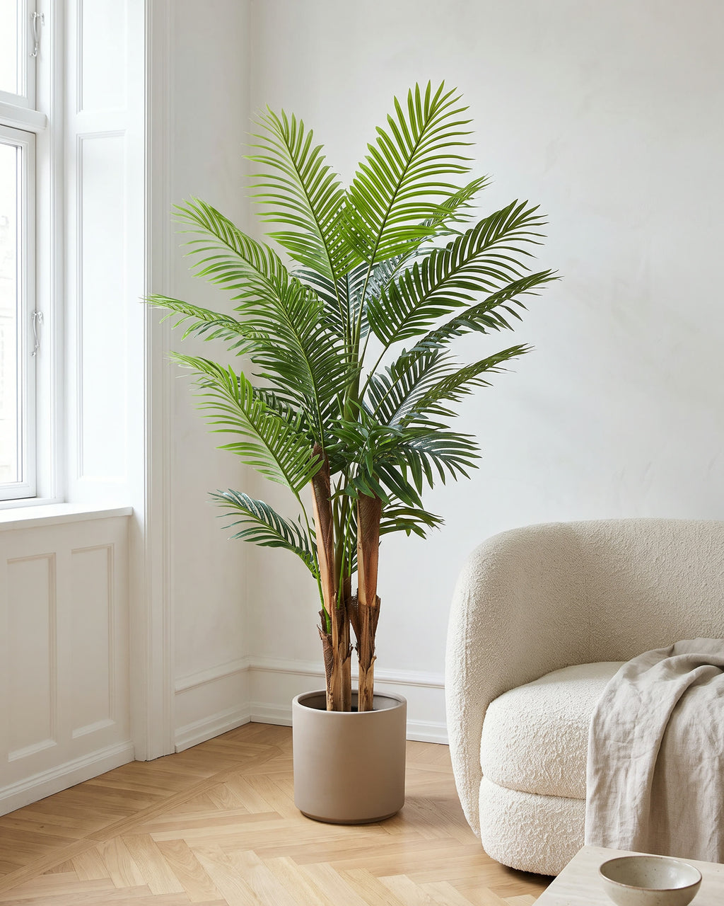 Palma | 180 cm in un luminoso interno scandinavo