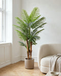 Palma | 180 cm in un luminoso interno scandinavo
