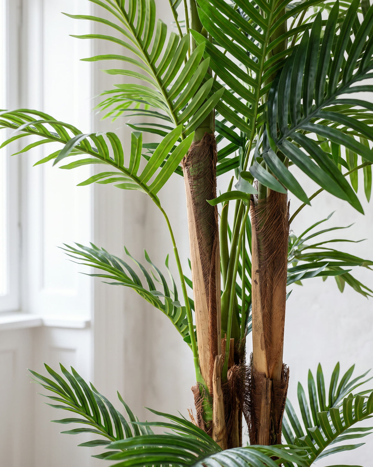 Palm Tree | 180 cm close-up detail